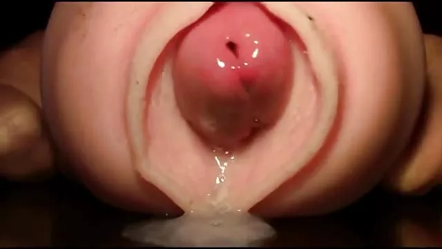 精神病带搜索，在阿拉巴马州饼性别三人组